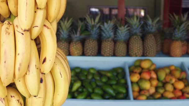 熱帯の島にある果物屋の大きな木製のカウンターを背景に バナナをぶら下げてさまざまなトロピカルフルーツをぼかしました — ストック動画