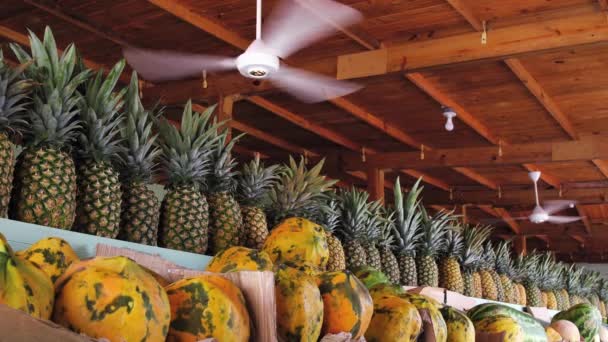 島の果物屋さんの大きな木のカウンターには 行とパパイヤの果物に多くのジューシーな熟したパイナップル ファンは空気を更新する 静的カメラカラフルな熱帯の背景 — ストック動画