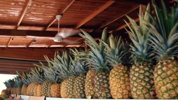 Caméra Déplace Long Nombreux Ananas Mûrs Juteux Dans Une Rangée — Video