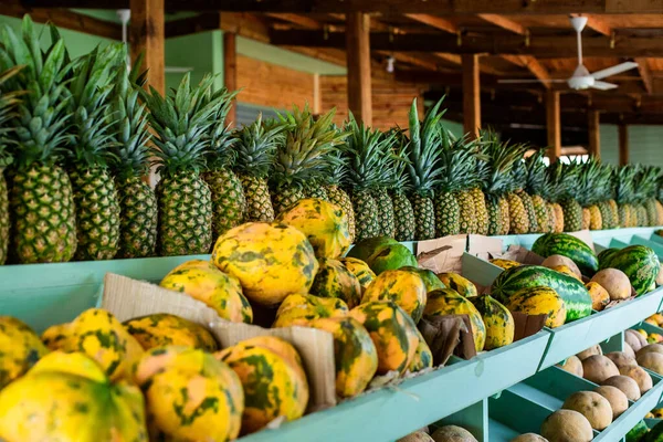 Bir sürü sulu olgun ananas, papaya ve kavun meyveleri adadaki bir meyve dükkanının büyük ahşap tezgahında. Renkli tropikal arkaplan.