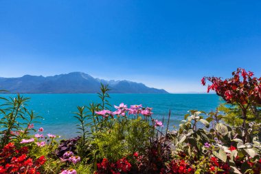 Alpler 'in güzel manzarası, Montreux şehrinden Cenevre gölü güneşli bir yaz gününde önplanda renkli çiçekler, Vaud Kantonu, İsviçre