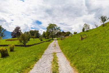 İsviçre 'de Walensee Gölü yakınlarındaki Alpler' de, İsviçre 'nin Glarus Kantonu yakınlarındaki bir köye doğru giden yürüyüş yolunun Idyllic manzarası.