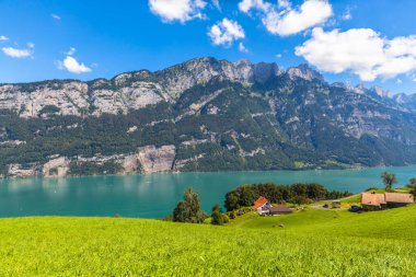 Walensee Gölü (Walen) Gölü ve Alpleri gölün güney kıyısından yeşil otlaklarla çevrili, Glarus Kantonu, İsviçre.