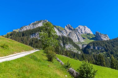 İsviçre kırsalının vadiden Santis (Saentis) tepesine uzanan yürüyüş yolu üzerindeki güzel manzarası, İsviçre, St. Gallen Kantonu.
