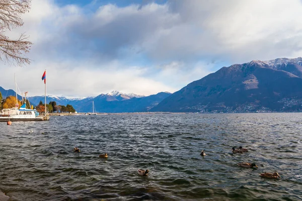 Prachtig Uitzicht Het Maggioremeer Alpen Vanuit Locarno Winter Kanton Ticino — Stockfoto