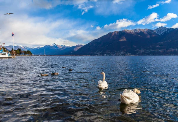 Prachtig Uitzicht Het Maggioremeer Alpen Vanuit Locarno Winter Kanton Ticino — Stockfoto