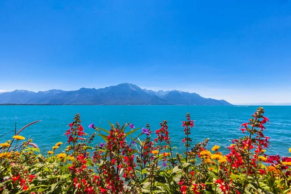 Krásný Výhled Alpy Ženevské Jezero Montreux Města Barevnými Květy Popředí — Stock fotografie