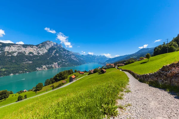 파노라마 호수와 알프스 있으며 스위스 라루스 남쪽에서 목초지가 — 스톡 사진
