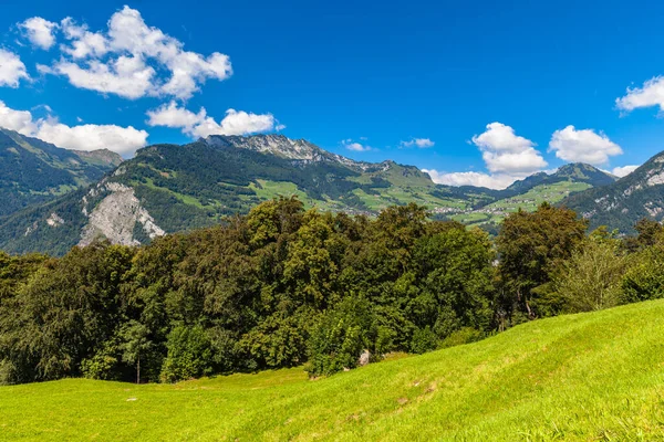 Vista Idilliaca Della Campagna Svizzera Con Case Montagna Prato Vicino — Foto Stock