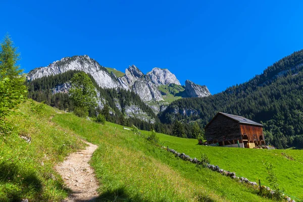 Belle Vue Sur Campagne Suisse Sur Sentier Randonnée Vers Sommet — Photo