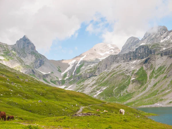 Blick Auf Den Glattalpsee Und Ortstock Tal Braunwald Schweiz — Stockfoto