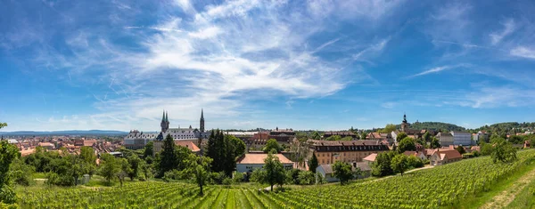 Panorama Pohled Historické Staré Město Bamberg Michaelsbergu Slunečného Dne Vinohradem — Stock fotografie
