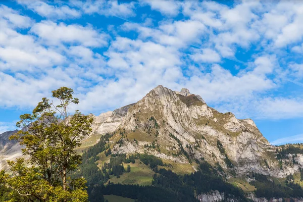 Panarom Utsikt Över Alperna Dalen Engelberg Sommarmorgon Kantonen Obwalden Schweiz — Stockfoto