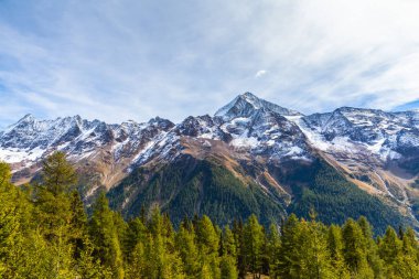 İsviçre 'nin Loetschental Vadisi' ndeki yürüyüş yolundan Bietschhorn ve Valais kantonundaki dağ alplerinin çarpıcı manzarası..