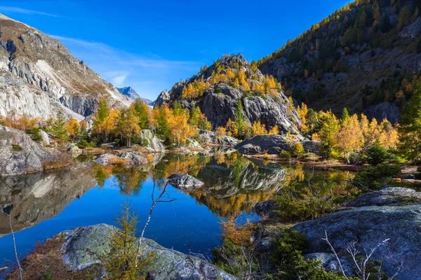 Bela Vista Lago Verde Com Reflexo Árvores Coloridas Outono Dourado — Fotografia de Stock