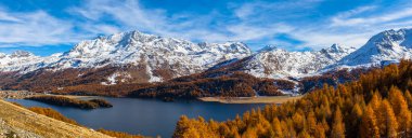 Sils Gölü 'nün panorama manzarası ve Upper Engadine' deki İsviçre Alpleri sonbaharda altın ağaçlar, İsviçre Grisonlar Kantonu.