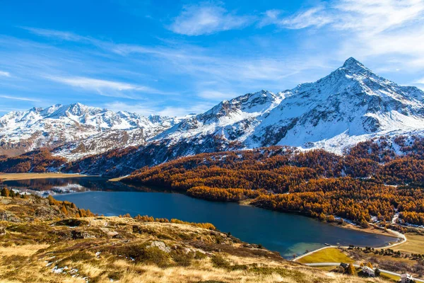 Εκπληκτική Θέα Της Λίμνης Sils Και Των Ελβετικών Άλπεων Συμπεριλαμβανομένης — Φωτογραφία Αρχείου