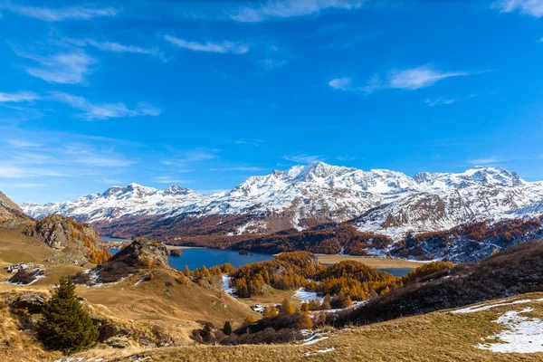 가을철에 황금빛 나무가 어퍼엥 호수와 휘몰아치는 알프스산맥의 파노라마 스위스 그리스 — 스톡 사진