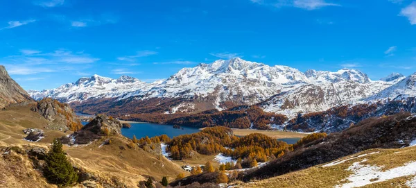 Vue Panoramique Lac Sils Des Alpes Suisses Haute Engadine Avec — Photo