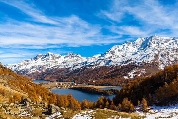 Sils Gölü Yukarı Lokomotifteki Sviçre Alpleri Sonbaharda Altın Ağaçlı Piz — Stok fotoğraf