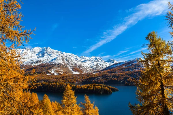 Vue Imprenable Sur Lac Sils Les Alpes Suisses Haute Engadine — Photo