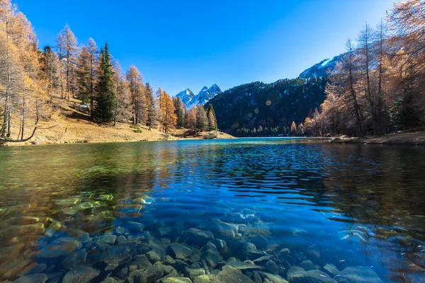 Vue Imprenable Sur Lac Palpuogna Près Col Albula Avec Mélèze — Photo