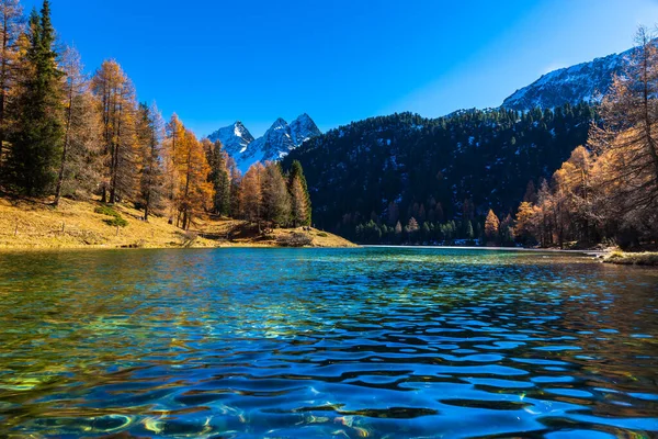 Vue Imprenable Sur Lac Palpuogna Près Col Albula Avec Mélèze — Photo