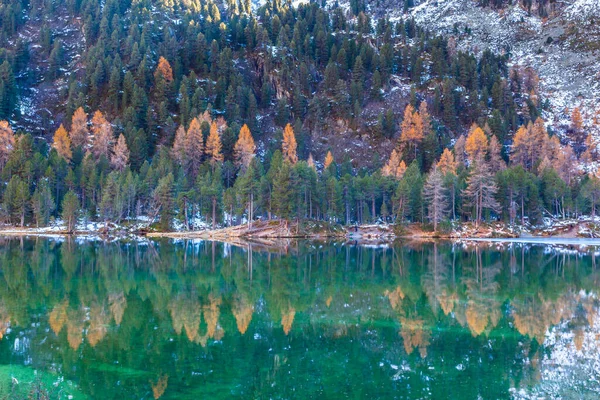 Vue Imprenable Sur Lac Palpuogna Près Col Albula Avec Des — Photo