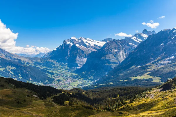 Panorama View Wetterhorn Schreckhorn Town Grindelwald Bernese Oberland Sunny Summer — стоковое фото