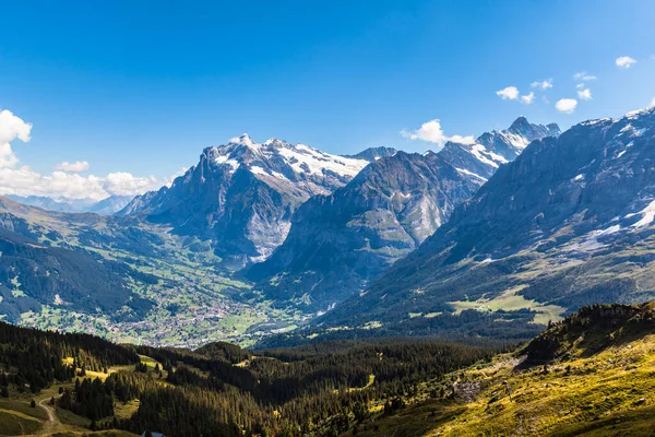 Panorama View Wetterhorn Schreckhorn Town Grindelwald Bernese Oberland Sunny Summer — стоковое фото