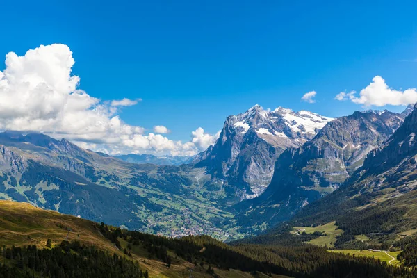 Panorama Wetterhorn Schreckhorn Miasta Grindelwald Bernese Oberland Słoneczny Letni Dzień — Zdjęcie stockowe