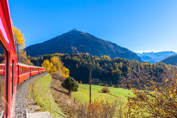 Viaje Com Trem Rhaetian Railway Outono Dourado Através Linha Glacier Fotografia De Stock