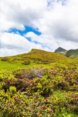 Tessin Kantonu 'ndaki İsviçre Alpleri' nin (Ticino) çok güzel bir manzarası vardır..