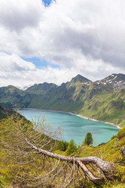 İsviçre 'deki Canton Ticino' da Ritom Gölü 'nün güzel manzarası. Önde devrilmiş bir ağaçla.