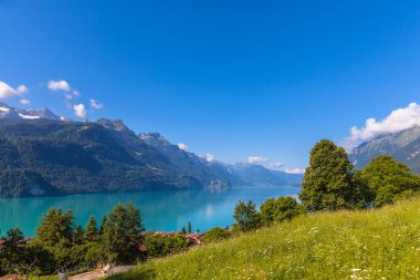 Brienz gölünün güzel manzarası ve Bernese Oberland 'daki Alpler Interlaken, Jungfrau bölgesi yakınlarındaki ünlü turizm bölgesi, İsviçre.