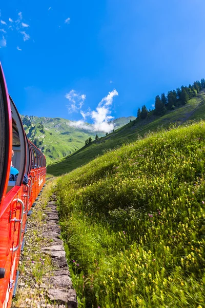 Beautiful View Alps Steam Train Brienzer Rothorn Bernese Oberland Switzerland — Stock Photo, Image