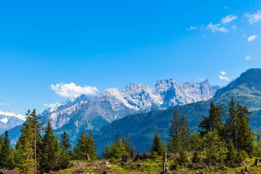Bernese Oberland 'da yürüyüş yolu manzaralı ve arka planda ağaçlar ve İsviçre' nin dağ sıraları var..