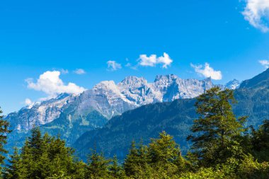 Bernese Oberland 'da yürüyüş yolu manzaralı ve arka planda ağaçlar ve İsviçre' nin dağ sıraları var..