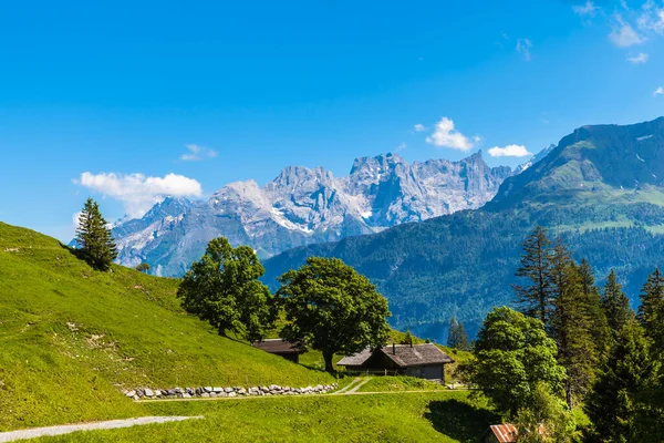 Vue Panoramique Sur Sentier Randonnée Sur Oberland Bernois Avec Des — Photo