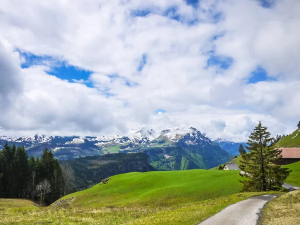 Veduta Delle Alpi Kanton Schwyz Svizzera — Foto Stock