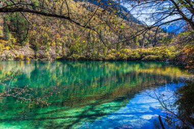 Jiuzhaigou Ulusal Parkı, Sichuan Eyaleti, Çin 'de güzel bir gölet.
