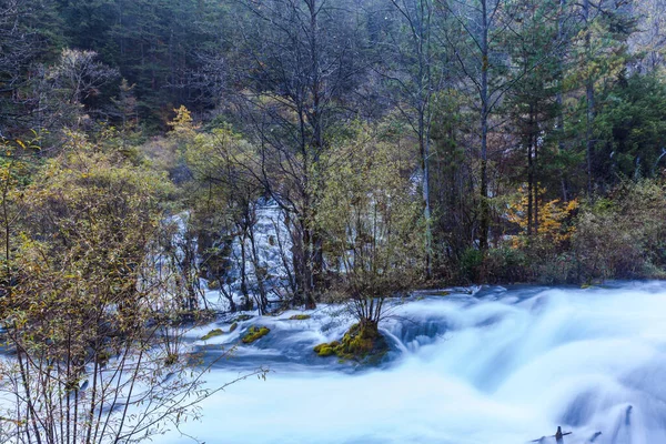 Ruisseau Dans Parc National Jiuzhaigou Province Sichuan Chine — Photo