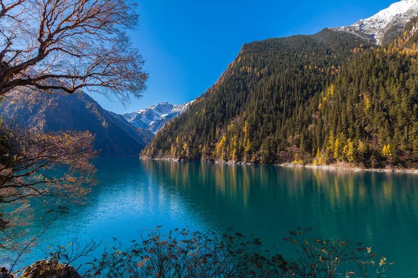 Vue Colorée Sur Lac Forêt Dans Parc National Jiuzhaigou Province — Photo