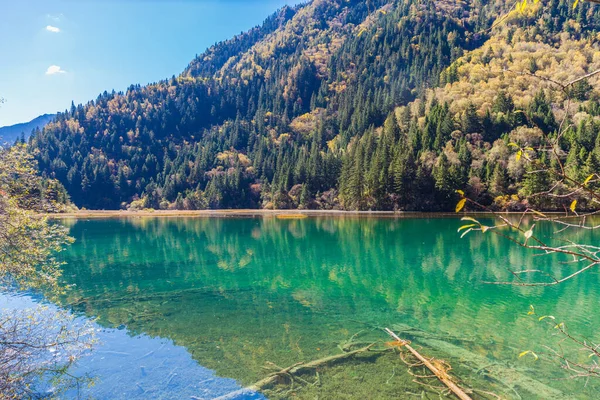 Vue Colorée Étang Forêt Dans Parc National Jiuzhaigou Province Sichuan — Photo