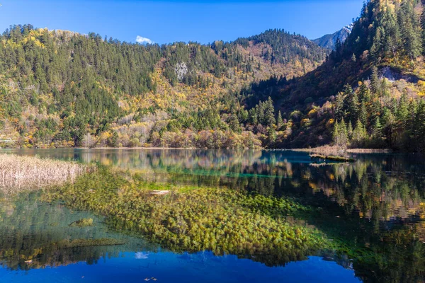 Superbe Vue Dans Parc National Jiuzhaigou Province Sichuan Chine — Photo