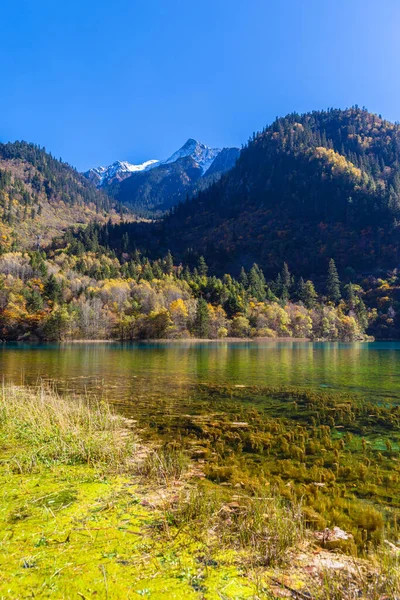 Superbe Vue Dans Parc National Jiuzhaigou Province Sichuan Chine — Photo