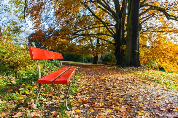 Scène Tranquille Chaise Rouge Avec Arbre Doré Feuilles Automne Zurich — Photo