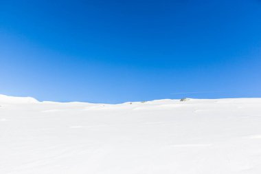 Arkaplan olarak beyaz kar ve mavi gökyüzü, kopyalama alanı kullanılabilir.