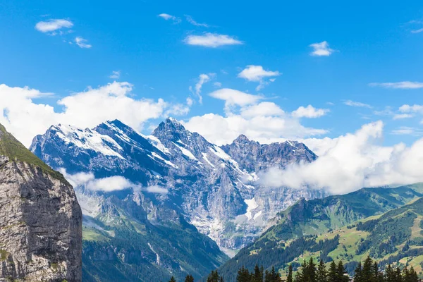 Fantastisk Utsikt Över Alperna Bernese Oberland Nära Grindelwald Schweiz — Stockfoto