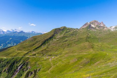 Grindelwald 'dan Bernese Oberland' daki İsviçre Alpleri 'nin Panorama manzarası Yazın ilk olarak Switzwerland.